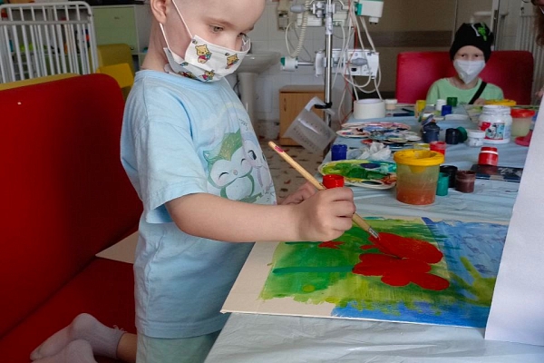 РОМАШКИ ИЛИ МАКИ?