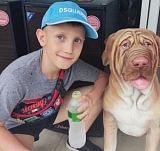 Давид Видилин